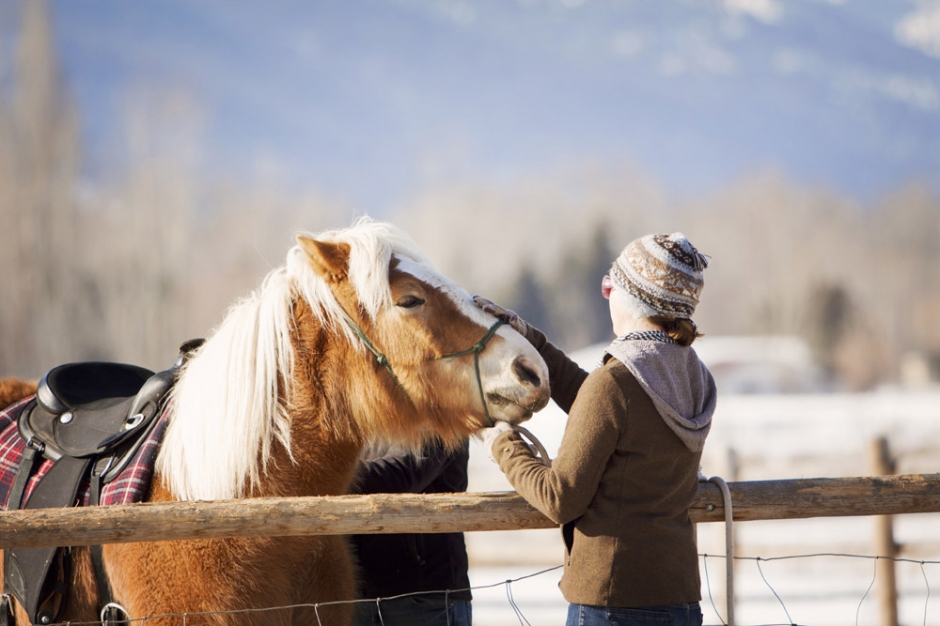 AmbrosiaEquestrian03 940x626 Winter, Horses and a Canon 60D