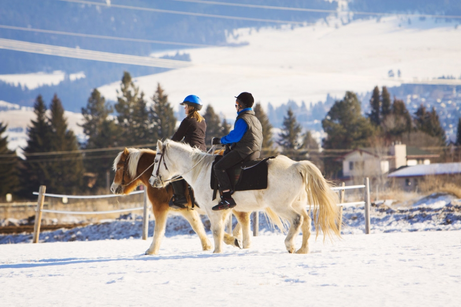 AmbrosiaEquestrian08 940x626 Winter, Horses and a Canon 60D