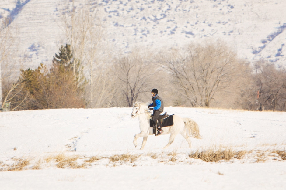 AmbrosiaEquestrian10 940x626 Winter, Horses and a Canon 60D