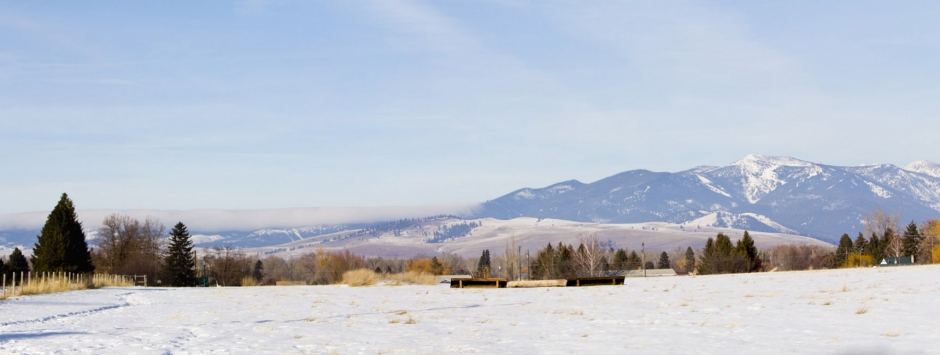 EquestrianPanorama 940x355 Winter, Horses and a Canon 60D