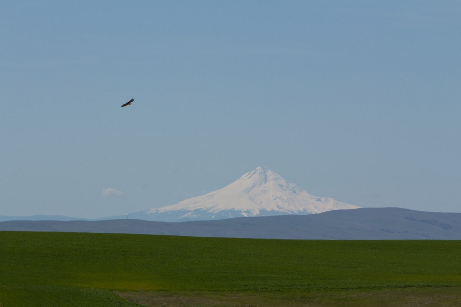 YakimaTrip05 940x626 On the Road to Yakima